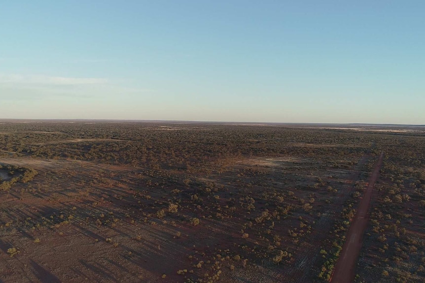 An aerial shot of a sheep, cattle and goat station in outback New South Wales on a nearly cloudless day.
