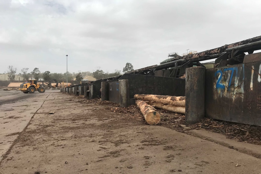 Logs waiting to be processed at a sawmill