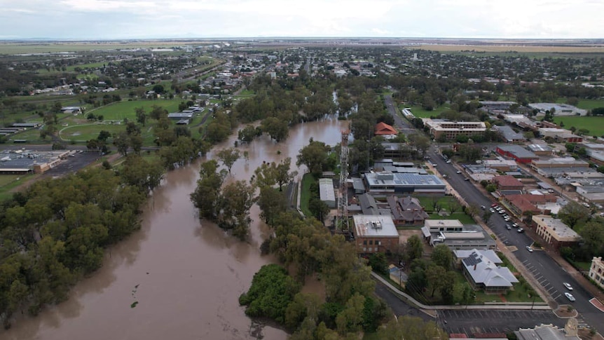 An aerial photo of a swollen Mehi river in Moree 