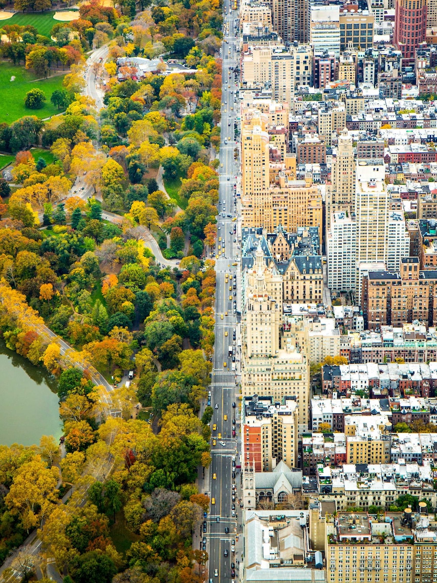 Dividing the architecture and Central Park in New York