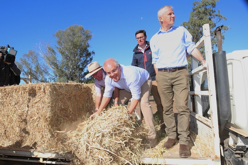 Two men lift hay from the rear of a ute while two other men hover nearby