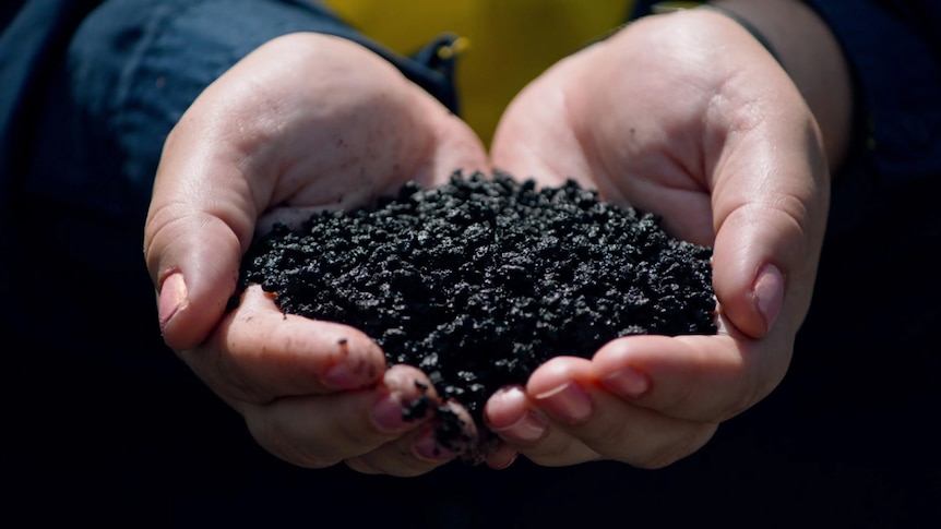 Two hands cupped to hold a mound of dark dirt-like material