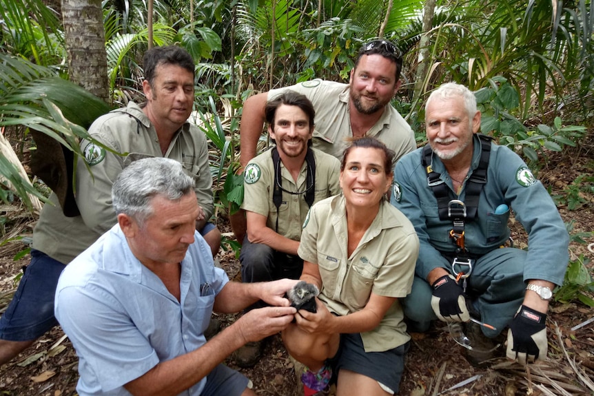 Norfolk Island morepork owl research team