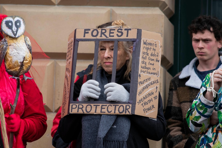 A woman holds a forestry protest sign in the shape of a jail in front of her face