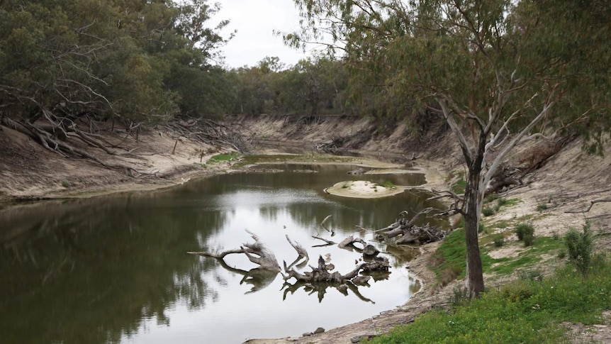 Darling River just downstream of Menindee