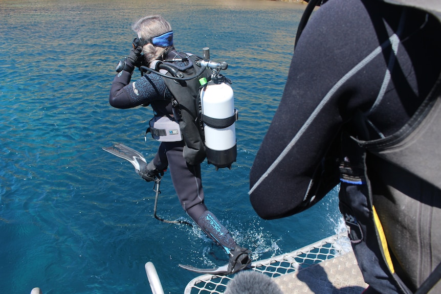 She leaps off a boat in scuba gear