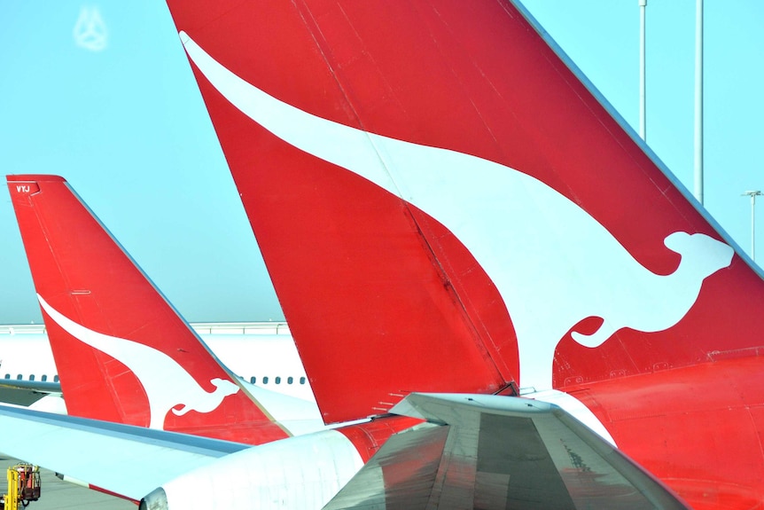 Qantas planes sit next to each other on the tarmac at Brisbane Airport, August 2014.