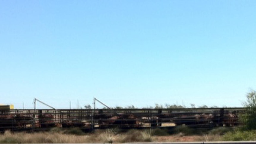 The stockyards at Port Hedland with sign on gate saying Hedland Export depot, quarantine area, no en