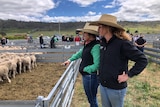 two women in the saleyards