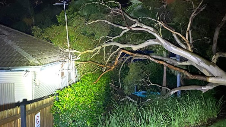 Night photo of tree fallen on home