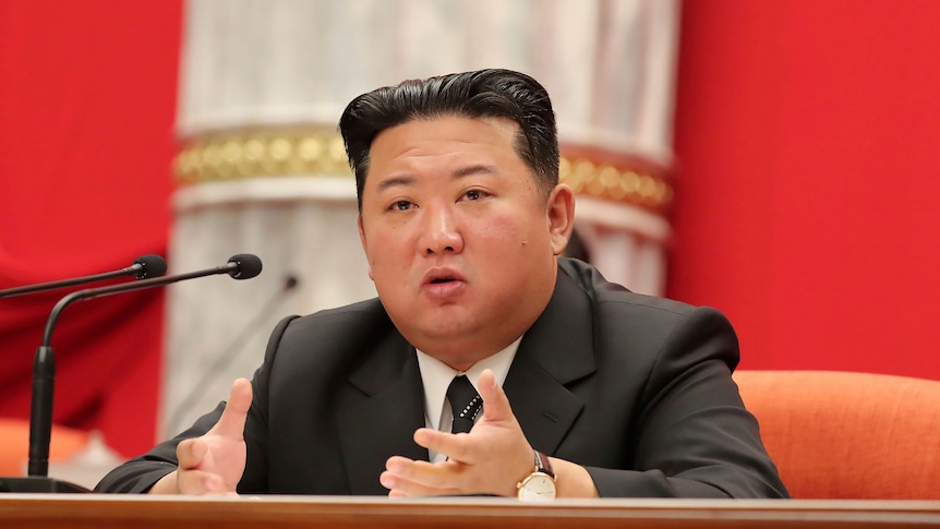 APN: Kim Jong Un