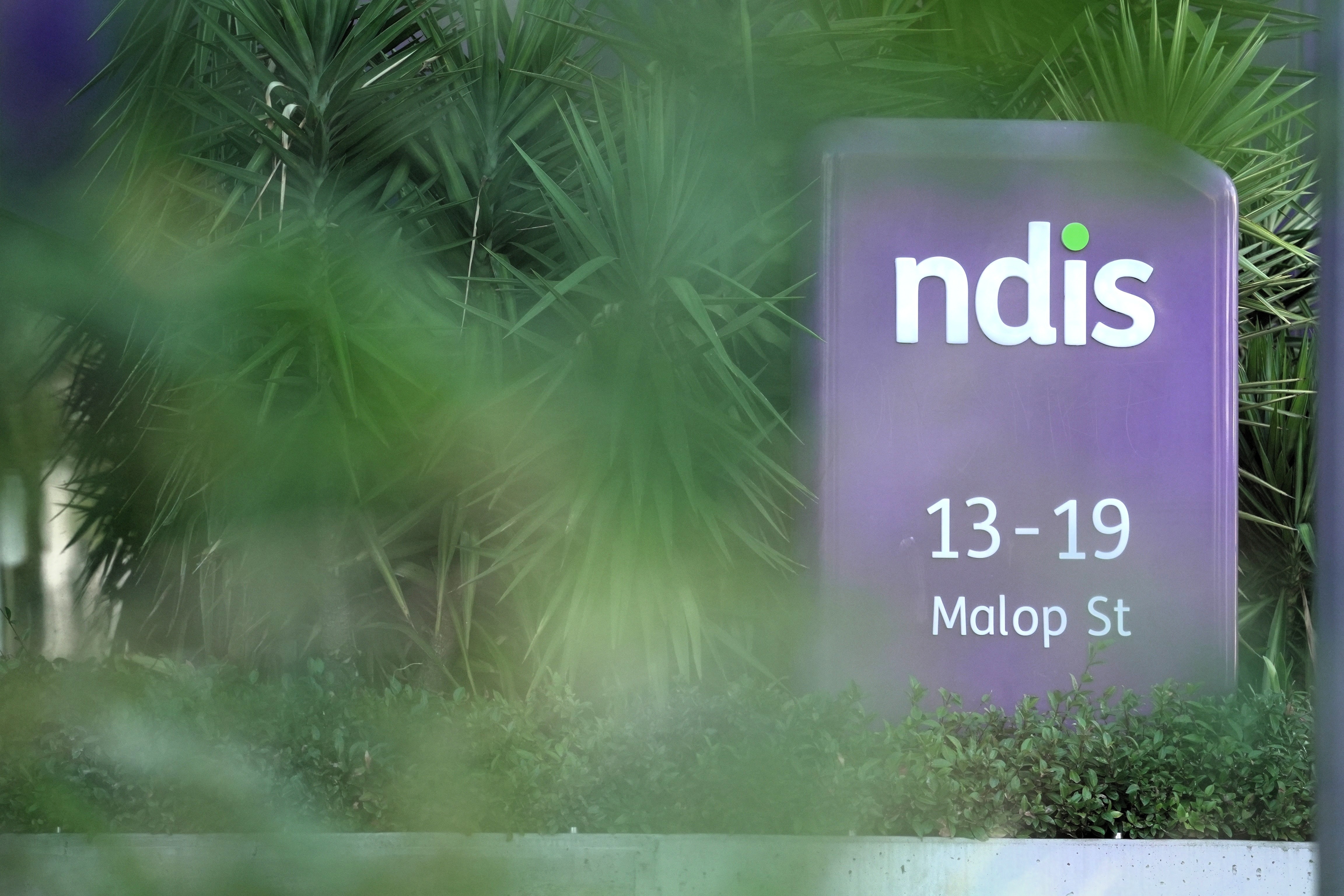 An NDIS sign is seen in front of some bushes