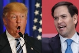 Donald Trump and Marco Rubio composite