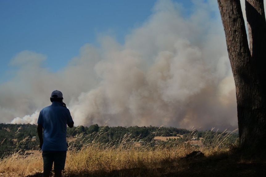 A man in a cap with back to camera looks at cloud of smoke in a green and dry grass. 