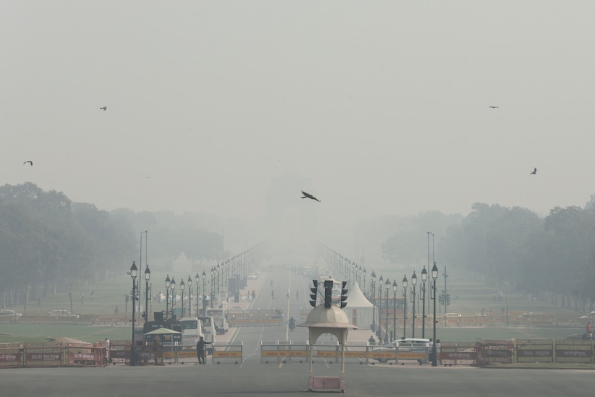 People walk on 'Kartavya Path' amidst the morning smog as air pollution levels decline in New Delhi.