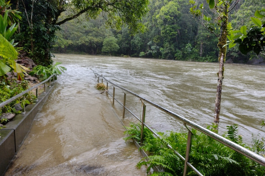 A flooded pathway