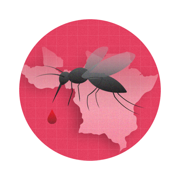 graphic with a pink circle in the middle of which sits a mosquito