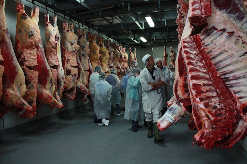 Wingham Beef Exports plant manager Shane Rutledge.