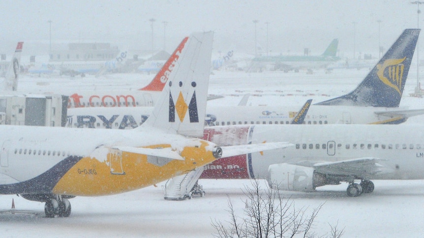 Planes sit in the snow on the tarmac at Gatwick airport in south England December 1, 2010.