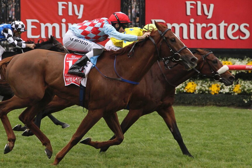 Christophe Lemaire (R) on Dunaden beats Michael Rodd on Red Cadeaux (L) to win 2011 Melbourne Cup.