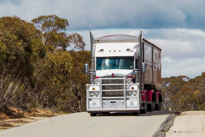 A truck drives along the Robinvale-Sea Lake Road with wide gravelly gaps visible on the side of the sealed road.
