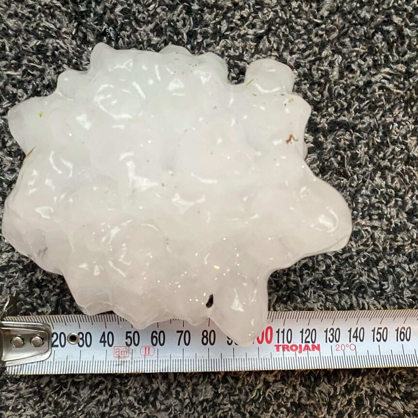 Giant hail stone