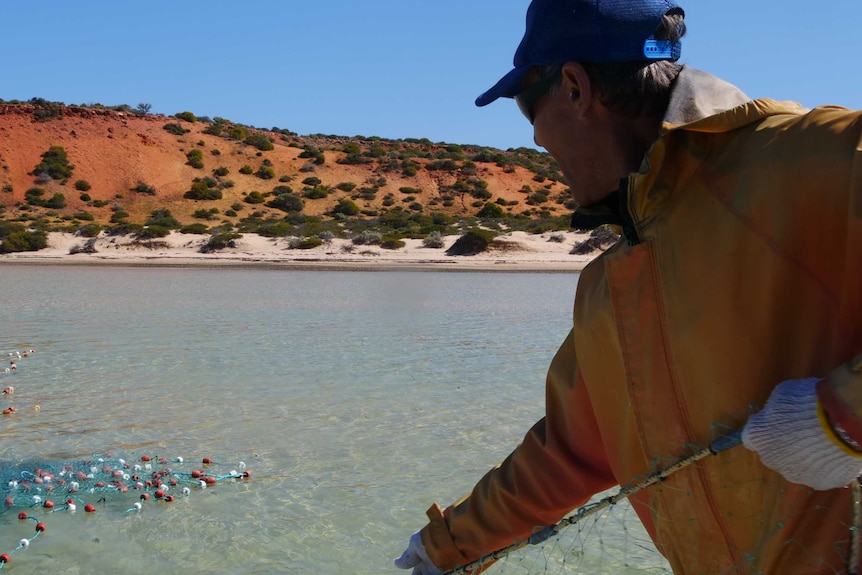 Shark Bay net fisherman Glen Hoult fishing in Shark Bay in August 2019.