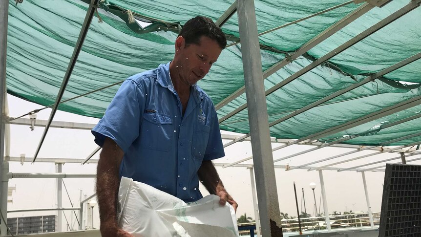 A Reef HQ employee pours a large 20-kilogram salt bag into an external pool tank