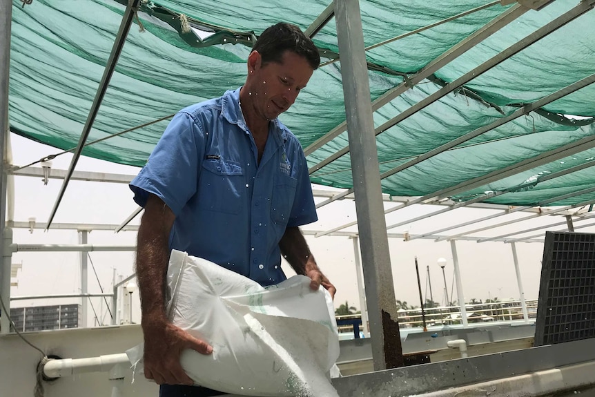 A Reef HQ employee pours a large 20-kilogram salt bag into an external pool tank