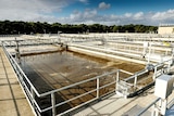 Large outdoor containers of water, bordered by fenced walking platforms at a wastewater treatment plant.