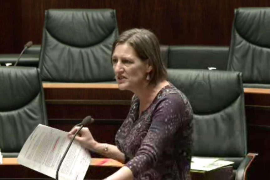 Greens Leader Cassy O'Connor addresses the Tasmanian Parliament.