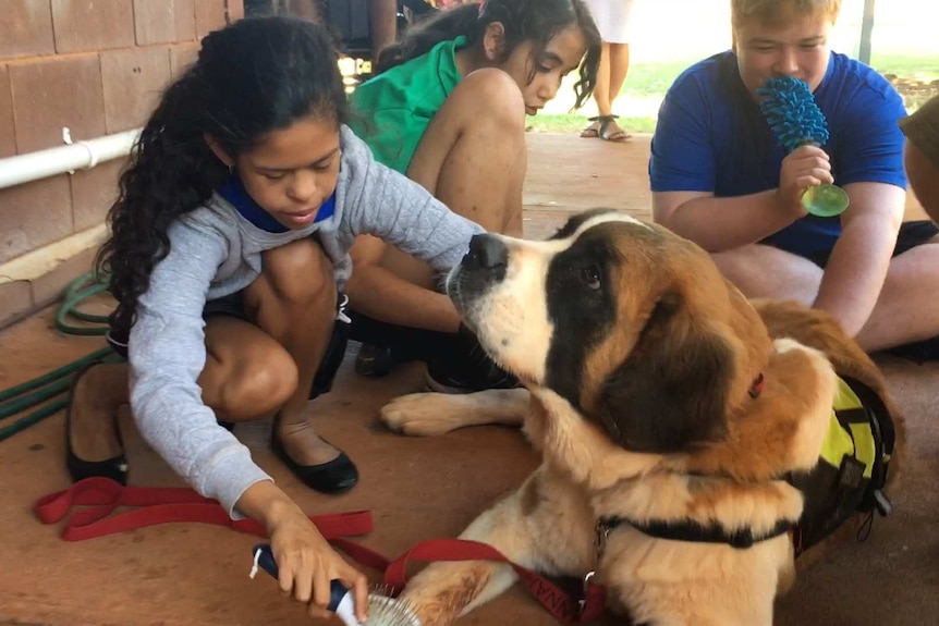 Students brush a dog.