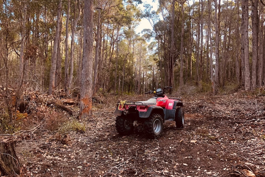 open land with trees with a quad bike