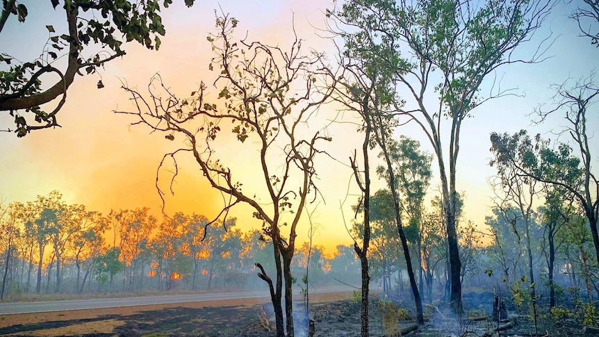 A dry season fire burns on the side of the Stuart Highway, near Darwin.