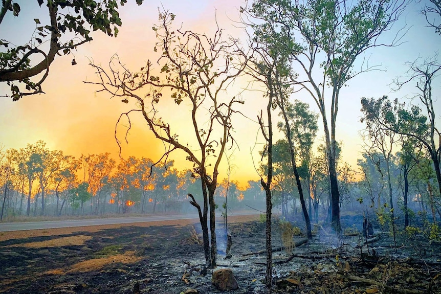 A typical dry season fire burns on the side of the Stuart Highway, near Darwin.