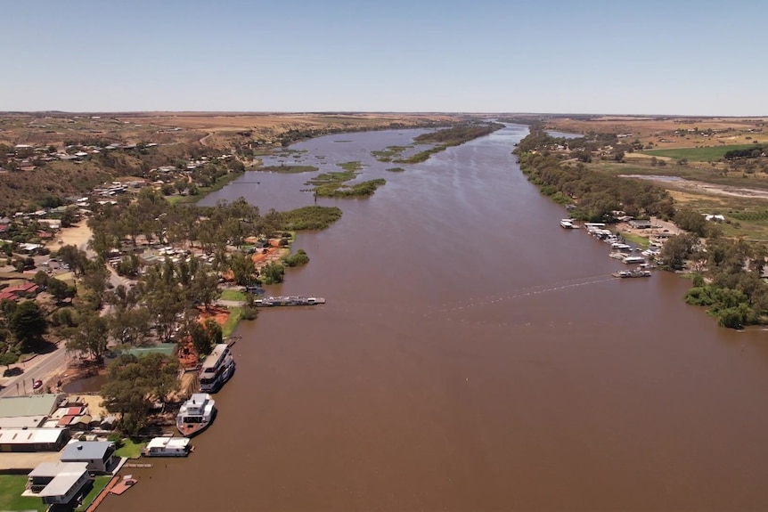 A brown-coloured river flowing through a town from the air