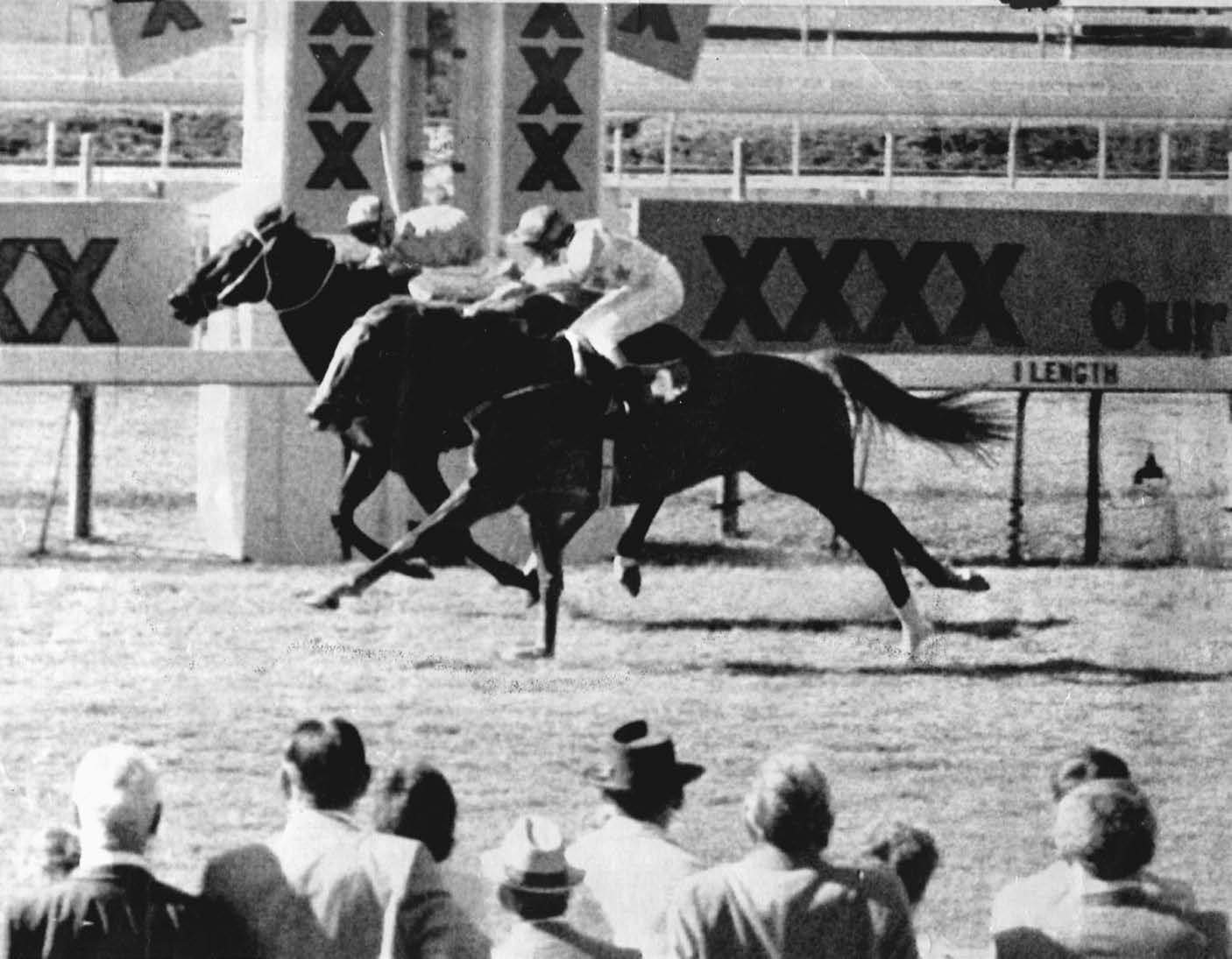 Racing stewards who verify horses' ID help prevent repeat of Fine