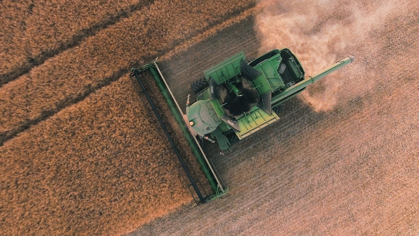 An aerial view of a combine harvester on a crop.
