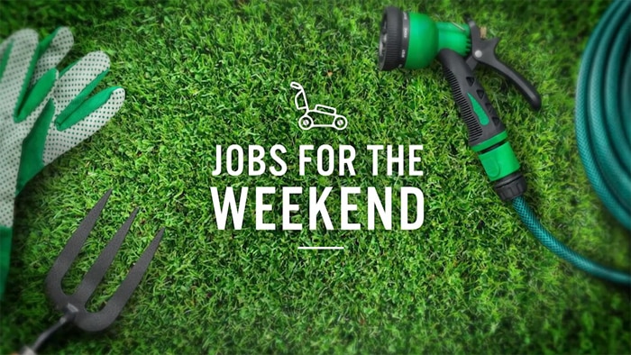 Lawn with a hose and text 'Jobs for the Weekend.'