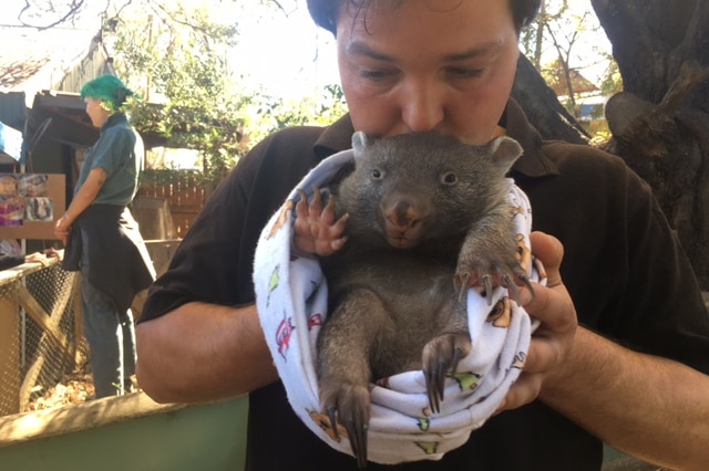 Greg Irons from Bonorong Wildlife Sanctuary