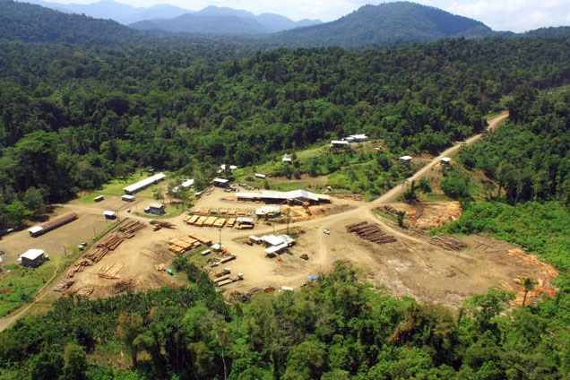 Sawmill run by Cloudy Bay Sustainable Forestry in Papua New Guinea