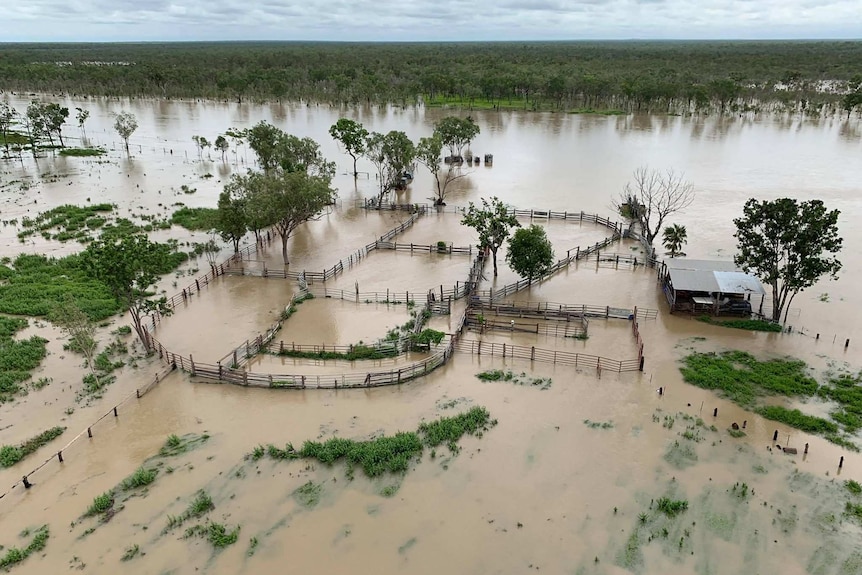 Fencing can be seen sticking out of floodwaters on Strathmay Station in Cape York.