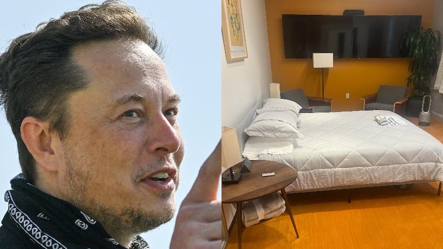 D’anciens employés de Twitter disent que les bureaux de San Francisco sont transformés en chambres alors qu’Elon Musk prépare un nouveau système de vérification