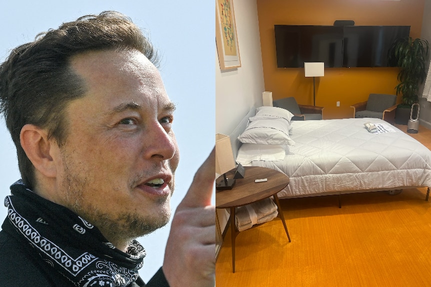 A composite image of Elon Musk and a double bed inside a Twitter office. 