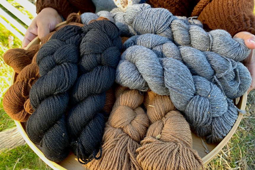 Alpaca fleece