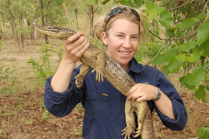 Georgia Ward-Fear about to release floodplain goanna fitted with tail transmitter.
