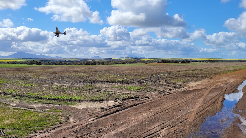 Flying over burst seed paddock