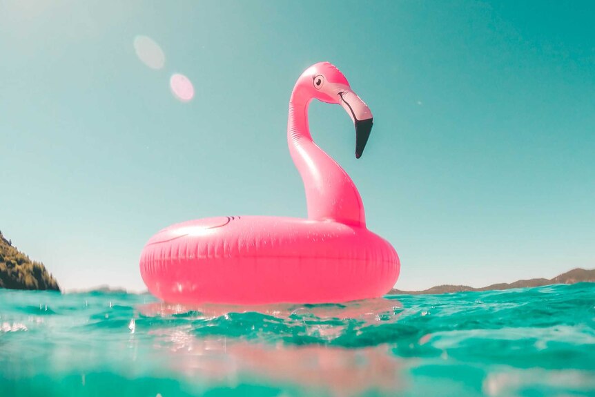 Blow up pool toy, flamingo, floats in the ocean for a story about how to choose the best sunscreen.