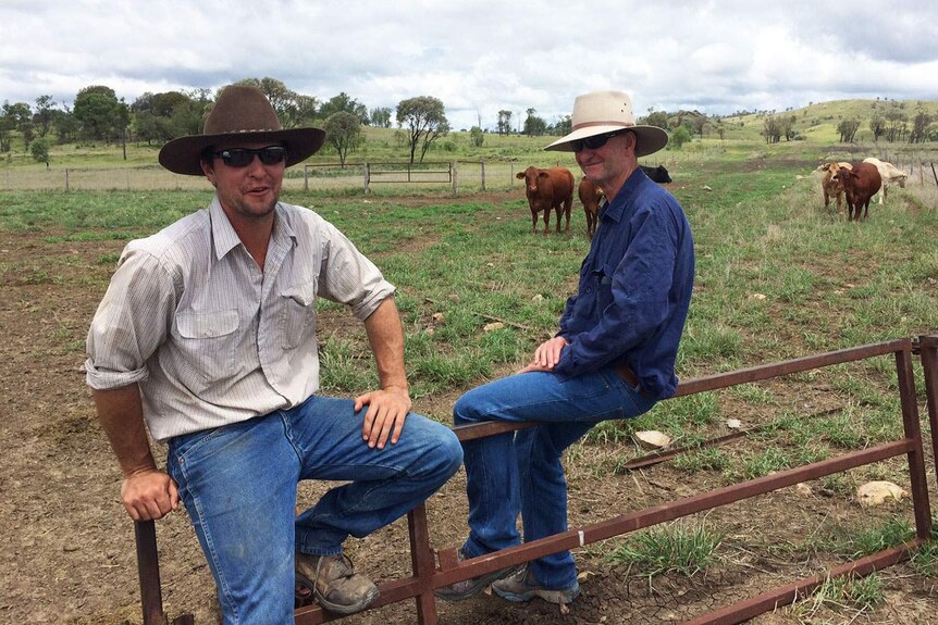 Two graziers Struan Mayne and Peter Mayne sit on a fence on their Carnarvon Gorge cattle property