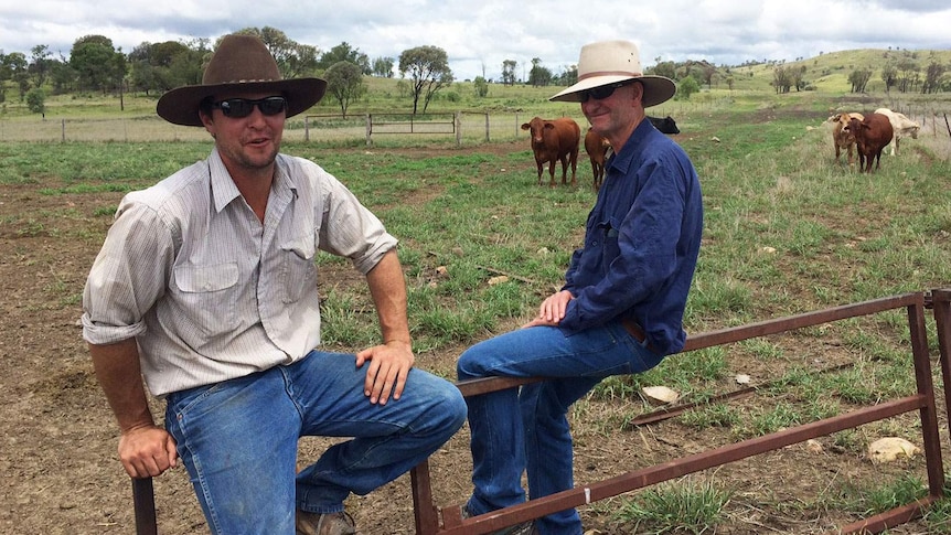 Two graziers Struan Mayne and Peter Mayne sit on a fence on their Carnarvon Gorge cattle property